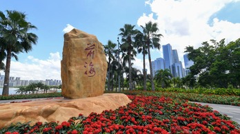 【国际锐评】中国的“关键一招”对世界有多重要？_fororder_在广东省深圳市前海拍摄的前海石（2025年01月22日摄）